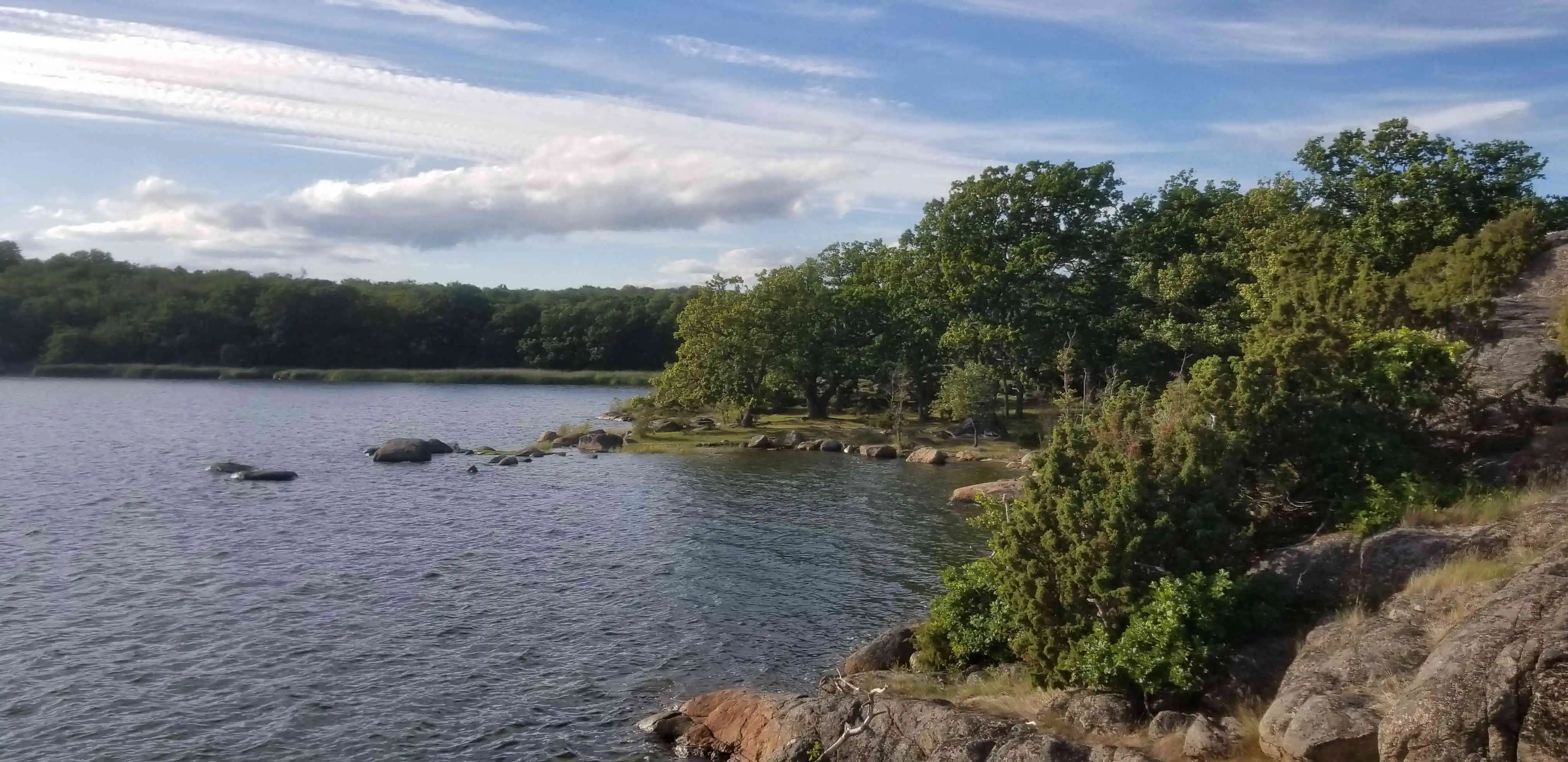 A serene lakeside scene featuring calm water, scattered rocks, and a lush forest. The water is gently rippled, and the shoreline is dotted with trees and shrubs. A clear blue sky with wispy clouds enhances the peaceful ambiance of this natural setting.